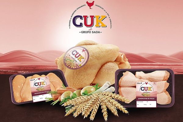 Pollo CUK, el primero criado sin tratamiento antibiótico